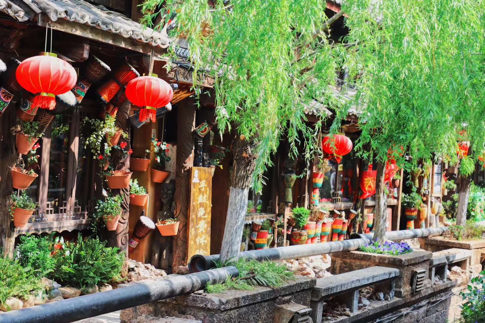 夏令營(yíng)
