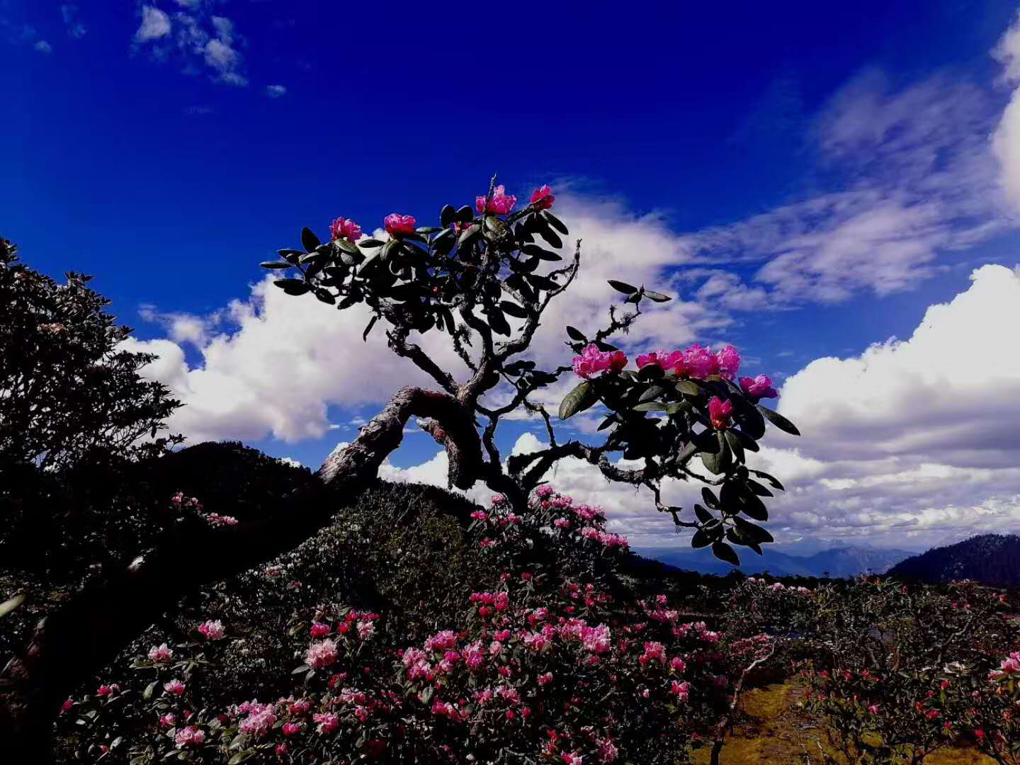 夏令營(yíng)