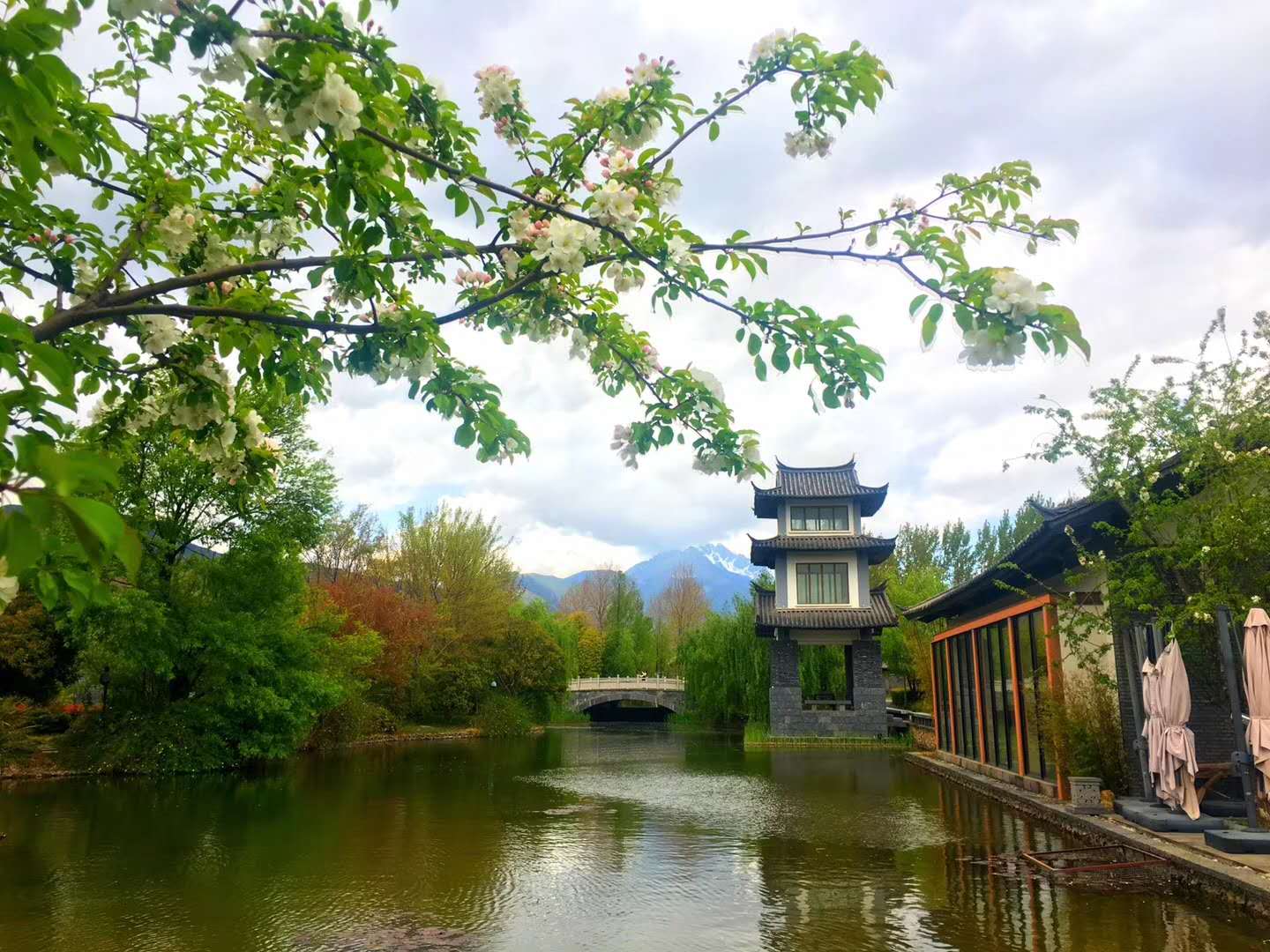 夏令營